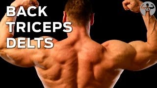 The 8816 Workout Day 3 Back Triceps and Delts Muscle Building Program [upl. by Lalib82]