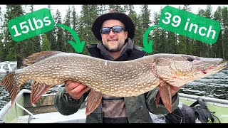 My Second Biggest Northern Pike 4k Ultra HD [upl. by Chris8]