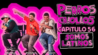 PERROS CRIOLLOS  SOMOS LATINOS CAP 56 [upl. by Yelhs289]