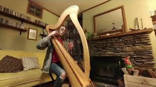 NZ 2024 Harp Performance Competition  Grade 34  Neo Hunt [upl. by Darrell115]