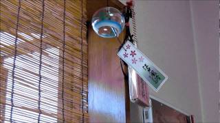 情緒たっぷり 江戸風鈴金魚の音色 Sound of wind chimes Edo goldfish [upl. by Mears]