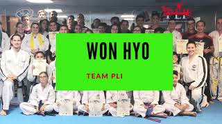 Taekwondo Requirements  Won Hyo [upl. by Bellis]