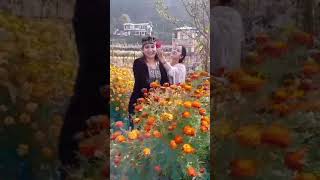 koruva resort chakrata [upl. by Allistir]