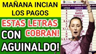 📌 PAGOS DE NOVIEMBRE 2024 COMIENZAN EL LUNES 👀 PENSIÓN 65 🤑 ÚLTIMO PAGO OFICIAL 💵 [upl. by Neetsyrk]