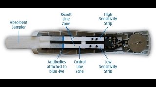 Whats inside this pregnancy test [upl. by Enia]