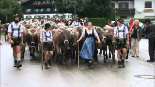 d Wirtin vom Metzebearg  Jodel Lied  Polka  Allgäu Volksmusik  steirische Harmonika [upl. by Rebmit561]