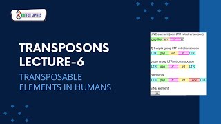 Transposable elements in humans LINESSINESLTR AND NON LTR TRANSPOSONS bet csir icmr ugcnet [upl. by Ardell868]