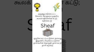 Meaning of sheaf [upl. by Tyra854]