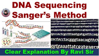 DNA Sequencing By Sangers Method  Dideoxy ribose method  Chain termination method  HSR Bioinfo [upl. by Benito]