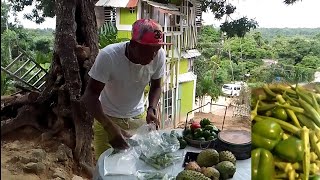 Okra fi dayz selling some okra to the community people [upl. by Heyer773]