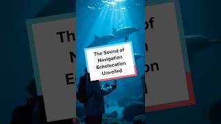 The Sound of Navigation Echolocation Unveiled [upl. by Iverson]