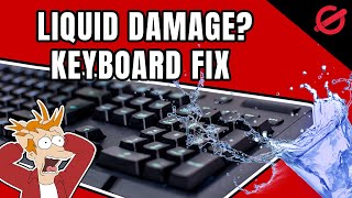 KEYBOARD LIQUID DAMAGE  HERE IS HOW TO SAVE IT [upl. by Astrid779]