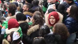 Rassemblement des Algériens à Montréal [upl. by Moser739]