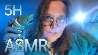 5H ASMR Français RP Examen des nerfs crâniens Docteur Ostéopathe Dentiste Coiffeur asmr fr roleplay [upl. by Esinrahs]