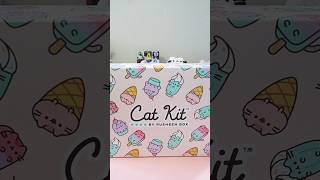 Unboxing the Ultimate Pusheen Cat Kit Mystery Box Discover the Cutest Surprises Inside 🍦🐈 [upl. by Enram]