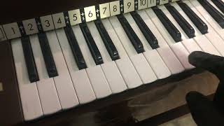 Magnus 605P Electric Chord Organ Demo Video [upl. by Vezza749]