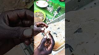 How we eat healthy catfishsoupemaalegarden greensugandan fufu amp ugaliviralshorts [upl. by Naols]