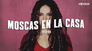 Shakira  Moscas en la Casa Letra [upl. by Ambler458]