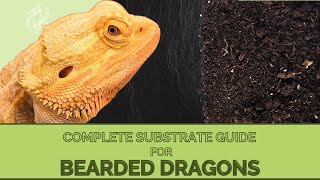 What Types of Substrates Are Recommended For Bearded Dragons [upl. by Rebmeced]