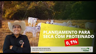 Planejamento para seca com proteinado 01 [upl. by Yelwar]