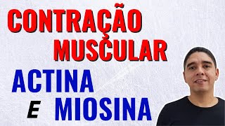 Actina e Miosina na Contração Muscular Músculo Esquelético 34 [upl. by Blaze]