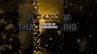 Thanksgiving Prayer🙏🏻✨🦃✝️prayerchangeseverything dailyshorts catholic thanksgivingprayer fy [upl. by Anrol]