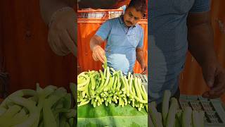 Armenian Cucumber per piece 10 rupee kakri shorts [upl. by Ennaitsirhc]