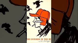 The Catcher in the Rye A Quick Synopsis [upl. by Nawotna491]