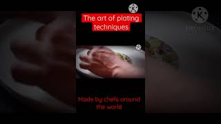 Fine dining food plating techniques foodplates foodpaltingtechniues [upl. by Eleira]