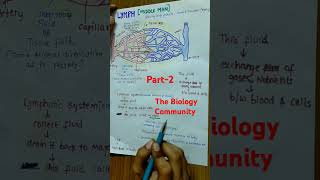 LYMPHTISSUE FLUID PART2 neet2025class11neetbiologyshortsytcbsebiobodyfluidsampcirculation [upl. by Trellas306]