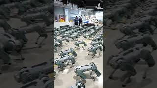 Watch Mass testing of Unitree Go1 robot dogs in factory [upl. by Veriee]