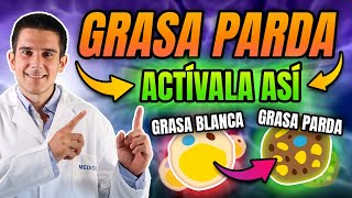 Cómo Activar La GRASA PARDA Para QUEMAR GRASA Normal🔥NUEVO ESTUDIO Cell Metabolism📊 [upl. by Hasty]