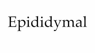 How to Pronounce Epididymal [upl. by Aracot]