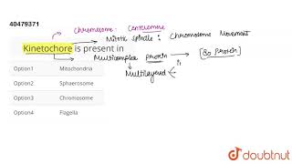 Kinetochore is present in [upl. by Salita525]