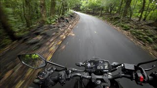 Ride ASMR  A peaceful ride through forest [upl. by Corvese]