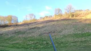 Warter priory pheasant shooting in slow motion with Ben Husthwaite [upl. by Wack]