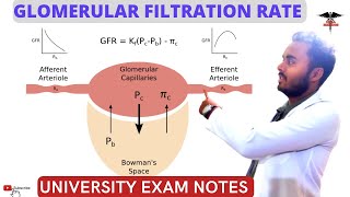 Glomerular Filtration Rate GFR  Renal Syestem Physiology [upl. by Anerom157]