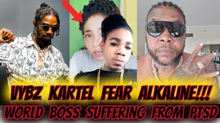 VYBZ KARTEL AFRAID OF ALKALINE Vybz Kartel vs Alkaline 2024 GOT KARTEL FANS CRYING ABOUT HOMAGE [upl. by Hurley]