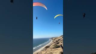 paragliders  torrey pines gliderport 🪂 san diego california paragliding travelvlog [upl. by Anafetse]