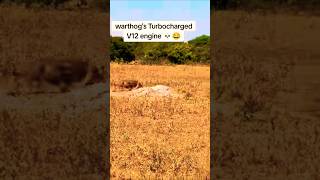 MR Warthog 0 to 100 kmh 005 Sec 😱😱  Speed of God 👹 [upl. by Gean]