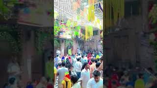 Vrindavan Banke Bihari ji Ka Ful Banglaviral live aarti bankebihari tranding love aarti [upl. by Wiskind]