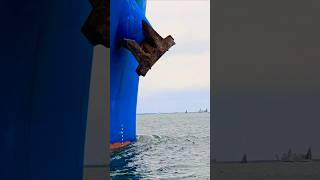 CARGO SHIP PASSING NORFOLK NAVAL 🌊🌊 liberty DESTROYER BIGGUN Wow shiplife epic waves cont [upl. by Aerdnahs]