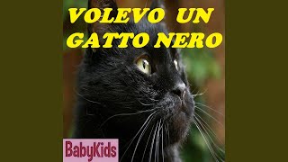 VOLEVO UN GATTO NERO [upl. by Ahsemot41]