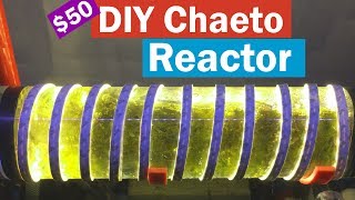 DIY 50 Chaeto Reactor  Refugium conversion to a chaeto reactor DIY Style [upl. by Vivyanne]