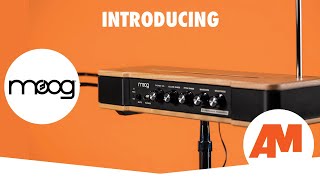 INTRODUCING The Moog Etherwave Theremin Quick Demo [upl. by Scherle]