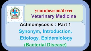 Actinomycosis Part 1 introduction etiology epidemiology [upl. by Nottirb]