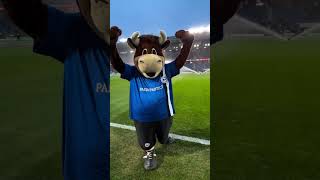 Arminia Bielefeld  FC Viktoria Köln Heimspieltach🖤🤍💙mit Lohmann🐮 [upl. by Otxilac]