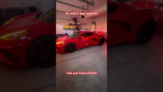 C8 Cold Start Don’t touch my car corvettec8 automobile cartok performance Subscribe [upl. by Sergent]