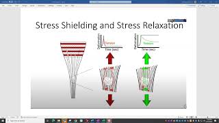 Remodeling Tendons amp Tendinopathy Through Isometric Exercises Tendon Loading amp Remodeling [upl. by Aztiray]