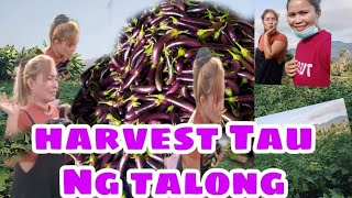 tara sa farm ni mam laud letecia myvideo myvlog liggayu Anne vlog [upl. by Arbed519]